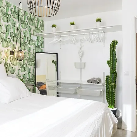 Buenavista Ocean View Apartment